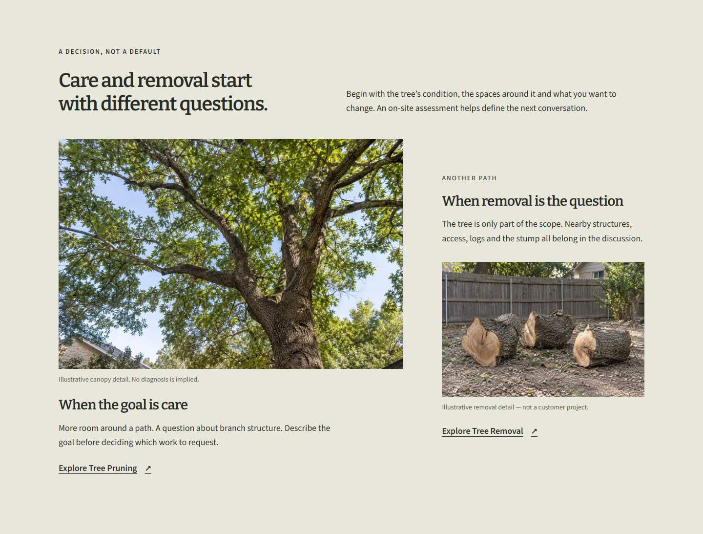 Asymmetric section contrasting a large canopy photograph for care with a smaller cut-log photograph for removal, each linking to its service.